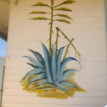 Blue Bab לינה וארוחת בוקר