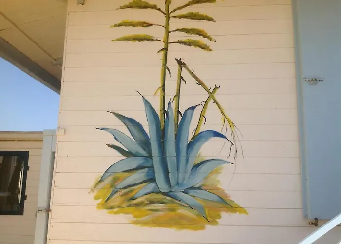 Blue Bab לינה וארוחת בוקר