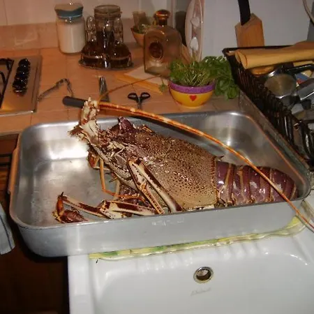 Blue Bab 3* لامبيدوزا